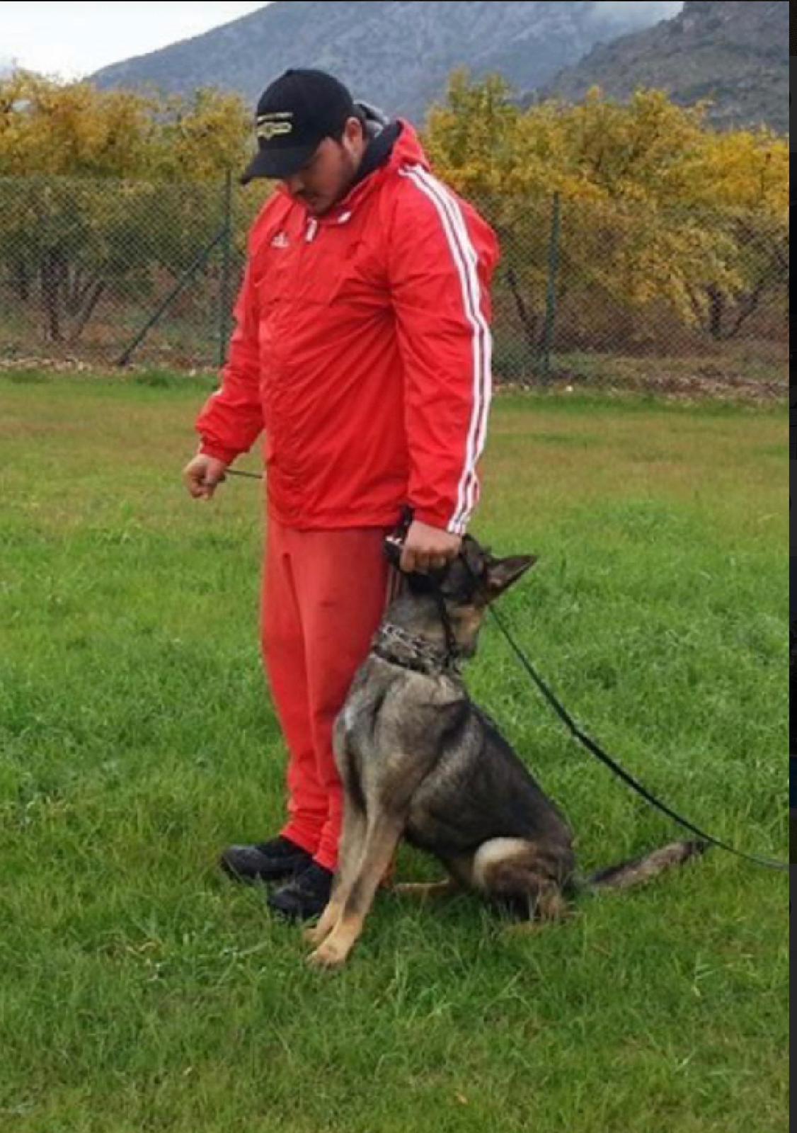 On leash obediance training